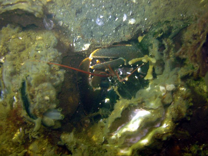 07 ZL 017.JPG